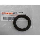 OIL SEAL